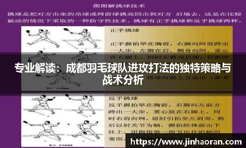 专业解读：成都羽毛球队进攻打法的独特策略与战术分析