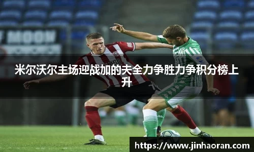 米尔沃尔主场迎战加的夫全力争胜力争积分榜上升